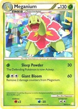 Meganium 26 123 Cracked Ice Holo